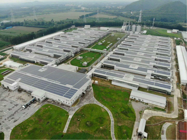 “掘金”下一个风口: sunbet申搏官方网站电力为正大蛋业5.46MW屋顶项目提供综合解决方案