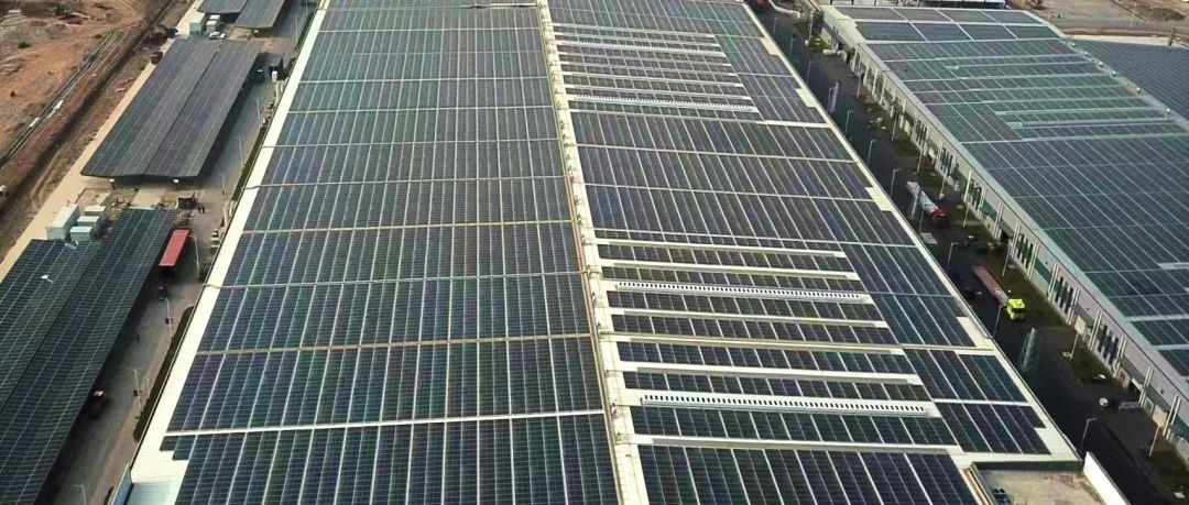  一季花开，一季灿烂|sunbet申搏官方网站2023年一季度工商业分布式项目并网完美收官