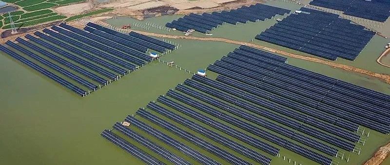  赵立坚微博点赞渔光互补模式sunbet申搏官方网站滁州项目再受关注