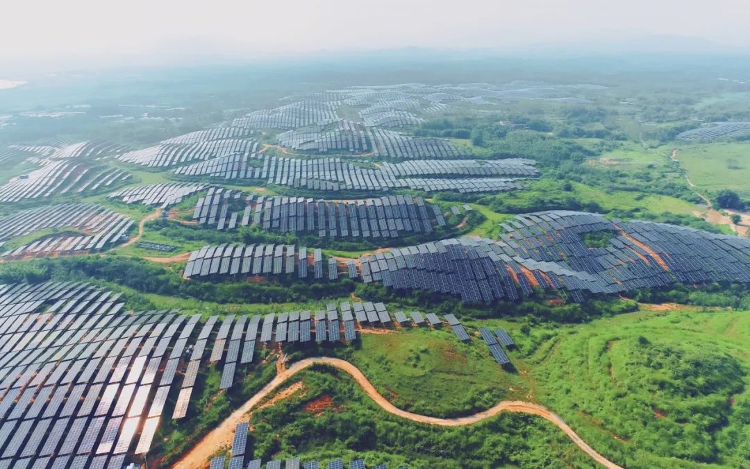 300MW！sunbet申搏官方网站广东农垦红十月农场农光互补项目满发并网